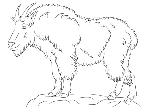 Mountain Goat Coloring Page